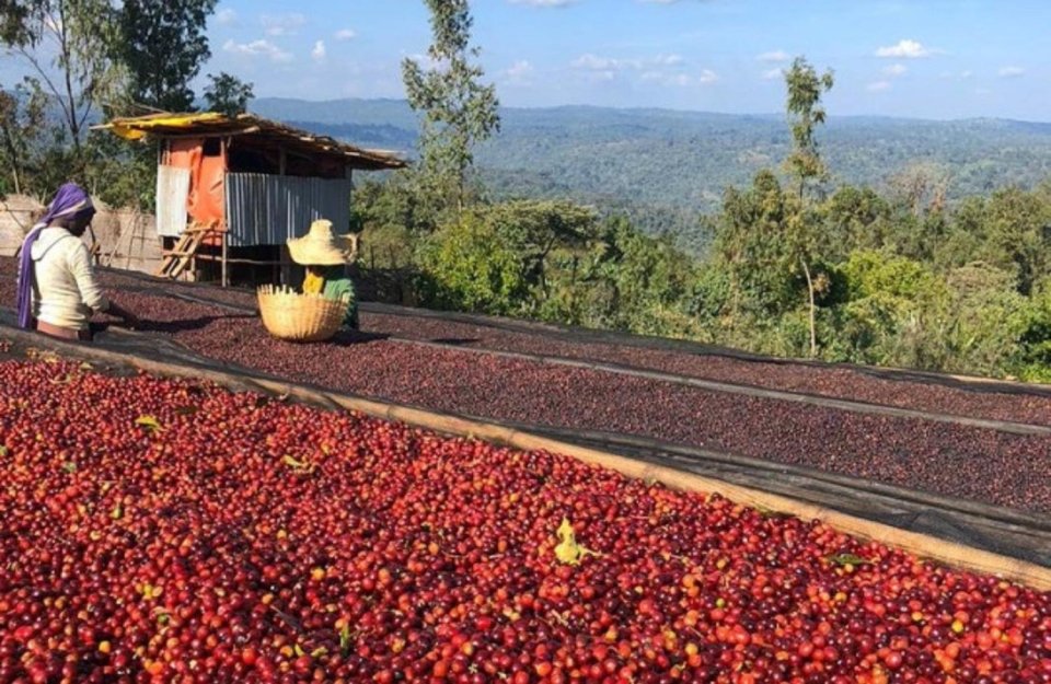 Coffee from Ethiopia