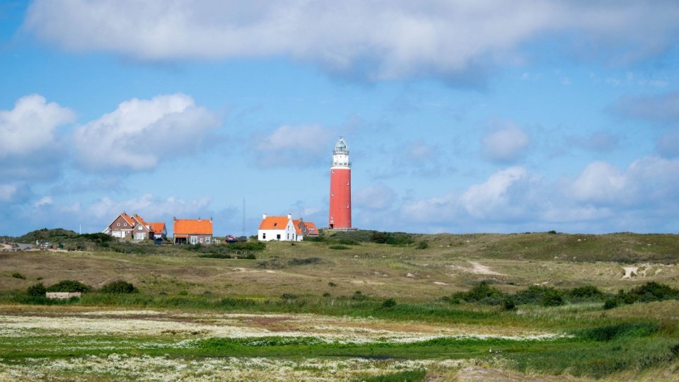 texel.jpg