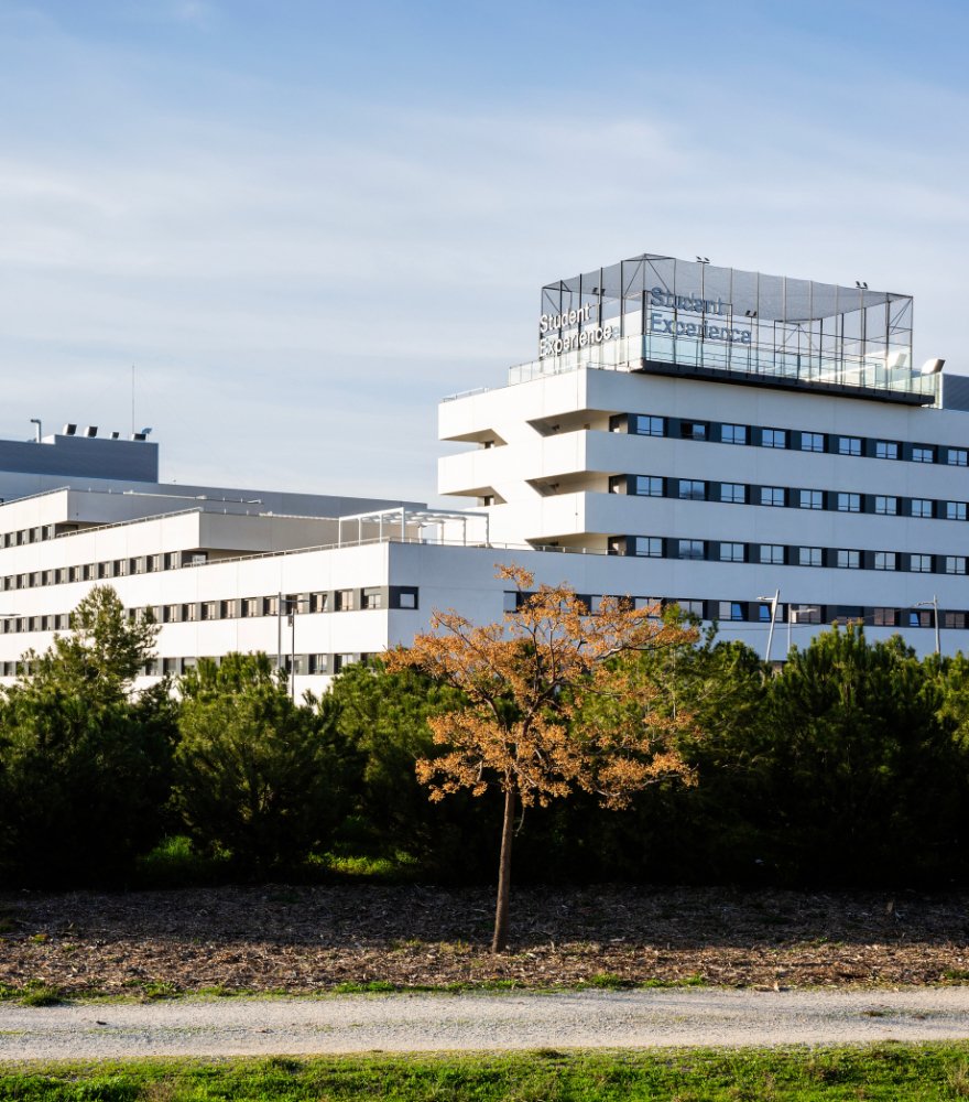 Student Experience Granada