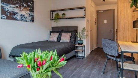 Amsterdam Minervahaven Essential studio